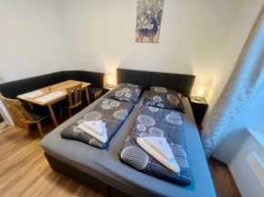 Apartment Loser im Zentrum